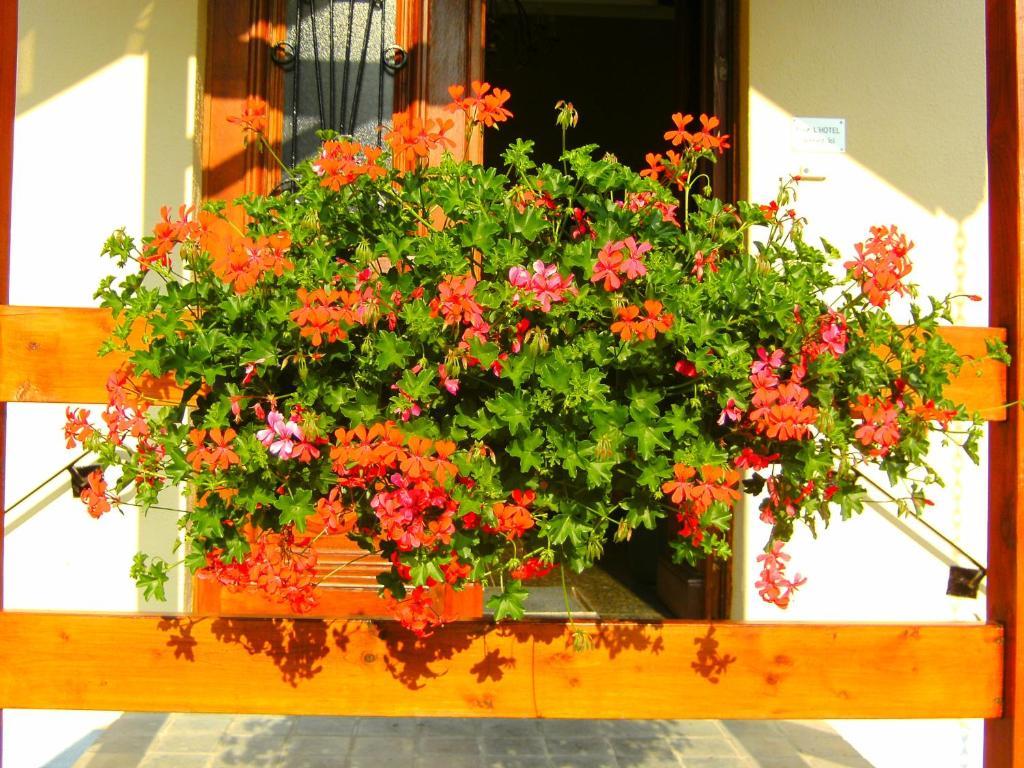 جالهاي B&B Le Petit Normand المظهر الخارجي الصورة